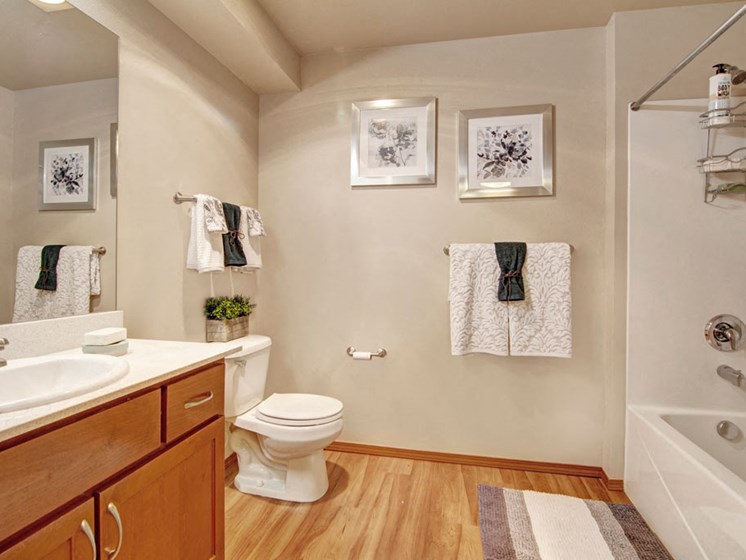 Model Bathroom | Apartments For Rent in Shoreline WA | Echo Lake